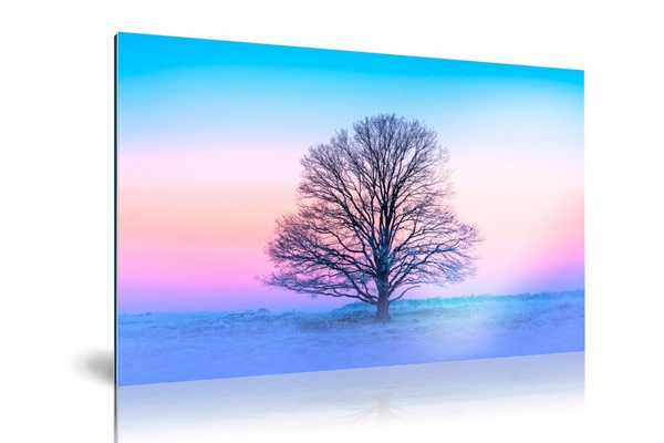 2024_07_30_090512_FineartvanHahnemühleopdibond|Picfeewanddecoratei.webp